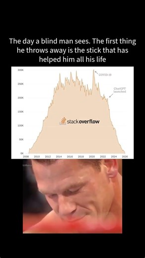 RIP Stackoverflow !