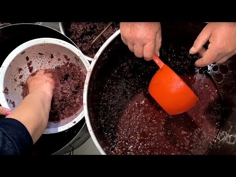 Making Homemade Wine! Part 2 | Filtering & Fermentation Stage