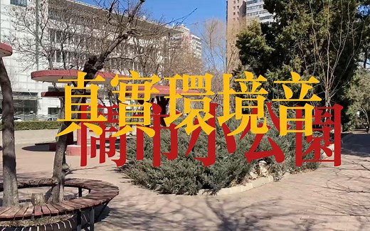 45分钟自习室【真实环境音】闹市小公园（工作学习白噪音/鸟鸣/车流声/45min效率）