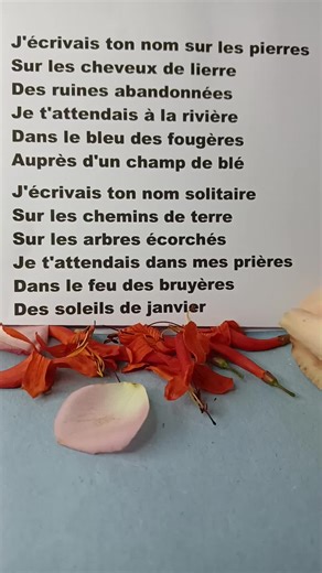 Les mariés de Vendée Lyrics,Didier Barbelivien et Anaïs#pourtoi #song #noel #christmas #lyric