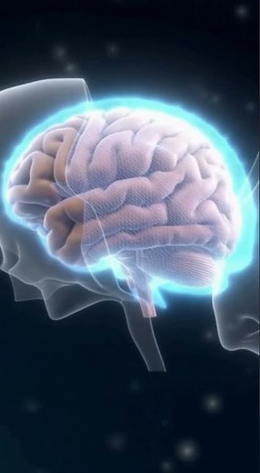 “Brain Protection Explained | Skull, Meninges & Cerebrospinal Fluid 3D Animation (CSF Function)”