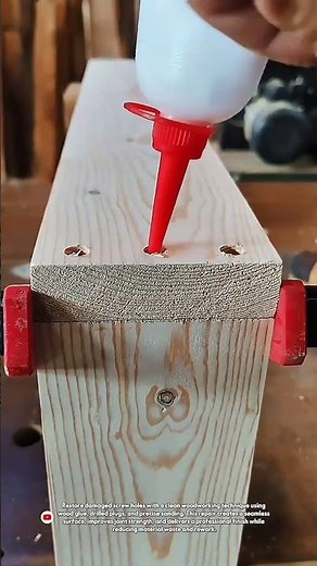 Perfect Wood Plug Repair for Invisible Screw Holes