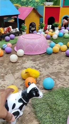 Menangkap ayam lucu, ayam warna warni, ayam rainbow, bebek, angsa, ikan hias, ikan cupang, Kelinci