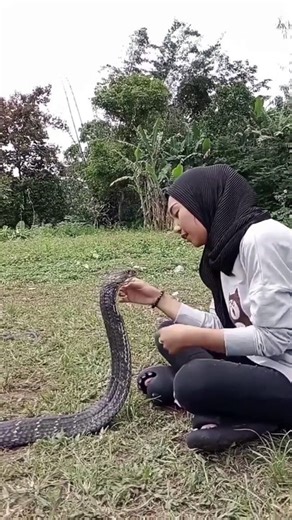 Woman Having Love With Snake