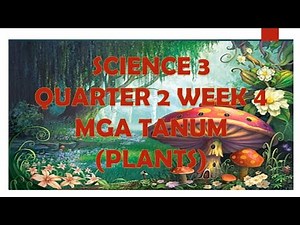 Science 3 Quarter 2 Week 4 ll Plants ll Parts of the Plant