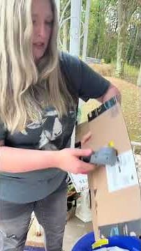 Cardboard Cutting Adventure You Won't Believe #DIYFun #SatisfyingCrafts
