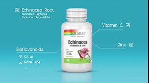 SOLARAY Echinacea Vitamin C and Zinc Wellness Formula - Immune Support Supplement - Echinacea Capsules with Vitamin C 500mg Plus Bioflavonoids, Vegan, 60-Day Guarantee, 50 Servings, 100 VegCaps