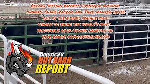 B-B-Be there!!🔥🔥🍺🔥 | Hot Barn Report