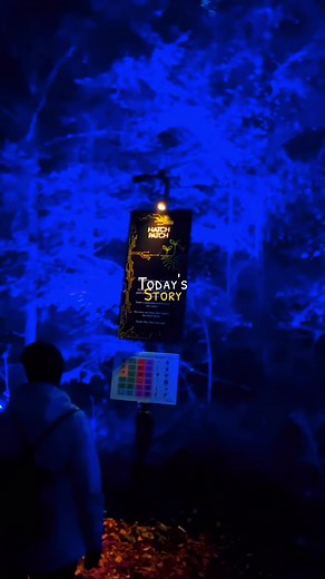 Sometimes, healing looks like light dancing through the trees. ✨ There’s something about the Enchanted Forest, the stillness, the shimmer, the way the air feels alive, that reminds you it’s okay to slow down, breathe, and just be. Let the colors and the quiet work their magic. 💫 #FixYou #ScotlandMagic #EnchantedForest #fyp #HealingJourney @coldplay