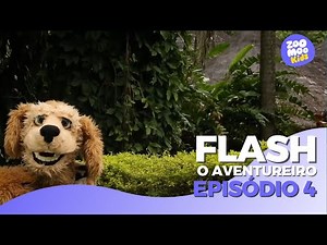 Flash, O Aventureiro | Episódio 4 | ZooMoo Kids
