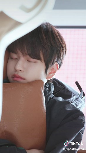 🐶💤🤫 #StrayKids #Seungmin