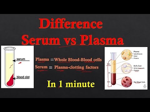 Plasma vs Serum | Difference between plasma and serum | Biology lectures |