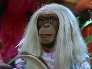 Saturday! The Evolution Revolution performs “Wild Dreams Jelly Beans” on Lancelot Link, Secret Chimp. Mixed media. Unclear intent. Lasting impact. 🐒 #CultTelevision #VintageTV #OutsiderArt #RetroMedia #SaturdayWeird | The Dumb Banana