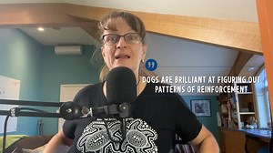 How do I get my puppy to stop waking me up!? Is that a question you have asked or seen? It's a common one, along with “how do I stop my dog waking me earlier and earlier?” There are four things that you can put into action right now to ensure you get some sleep. | Susan Garrett's DogsThat