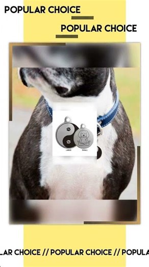 Awaken Dog ID Tags - 16 Designs