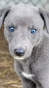 Tammy Phillips on Reels