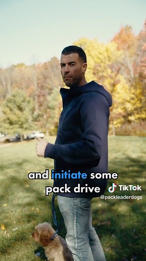 Introducing 2 Dogs: The Dog Psychology Way