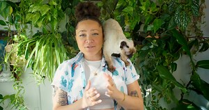 Khat - the natural high that experts warn may not be as harmless as it seems