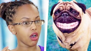 578K views · 1.9K reactions | Who let the dogs out??? WHO WHO WHO WHO !!! | Just Kidding | Facebook