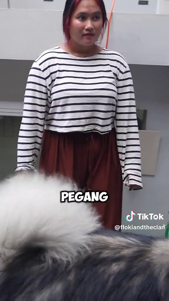 Floki dan Musso: Serigala Peliharaan yang Unik