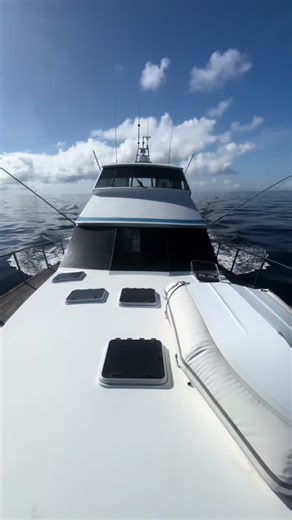 Good to be back on the honoff dogs @Shelby #fyp #viral #fishing #yft #gamefishing