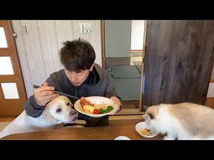 厚切りハムステーキで豪華朝食です