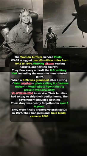 They Flew Every Plane in WWII. They Were Denied Military Status for 33 Years #history #viral #ww2