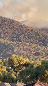 9.5K views · 109 reactions | Here we go again  can anyone tell me if this is a back burn ?? | Kapirisland pizzas | Facebook