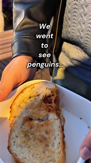 we went to see penguins in melbourne… but this happened 🐧