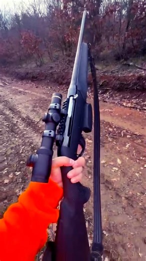 Wild boar hunting with Benelli Argo#shorts #viral#gun#hunting #лов #охотанакабана #domuzavi