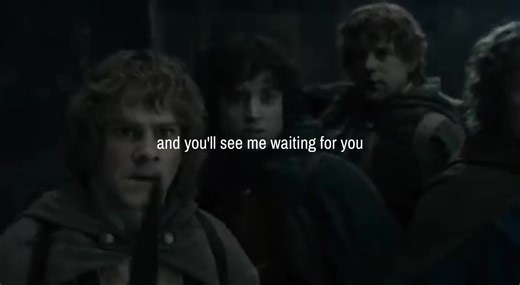 I love this heh #frodo #sam #merry #pippin #lotr