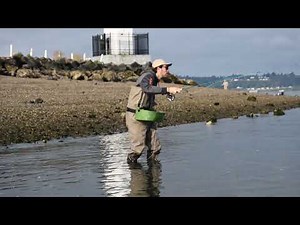Beach Fishing Puget Sound on the Fly for King Salmon