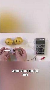 This Calculator Does Math With Fruit