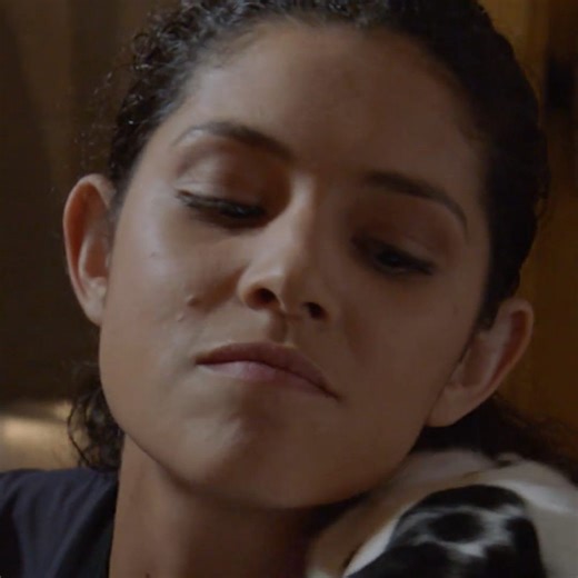 1.4K views · 1.2K reactions | It's true — dogs are the solution to everything!  #ChicagoFire | USA Network | Facebook