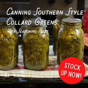 How to Can Collard Greens Southern Style (with Ham Hocks or side meat) - Old Time Knowledge