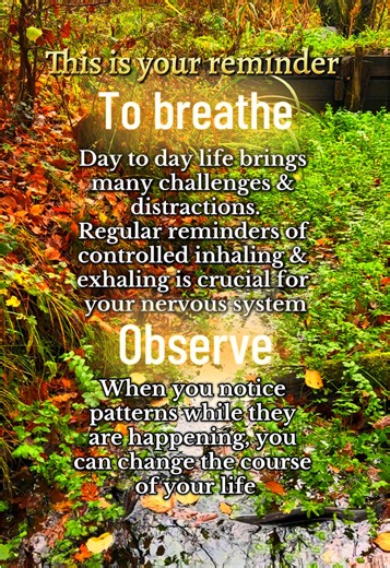 This is your reminder! What do you think? Breathe, observe & notice your patterns while they happen. The ONLY time you can make change within is in the midst of temptation, triggers, frustrations, upset etc.