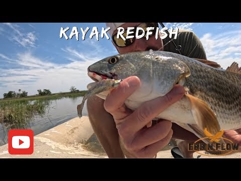 "New Waters, Big Redfish – Kayak Style!