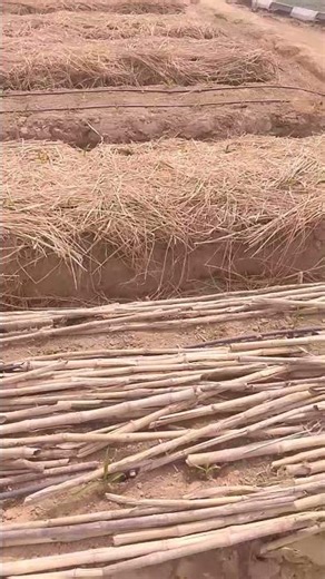 Learning site #agrostable #smallranch #agriculturalsystem #ranchsorting #farmingmethod