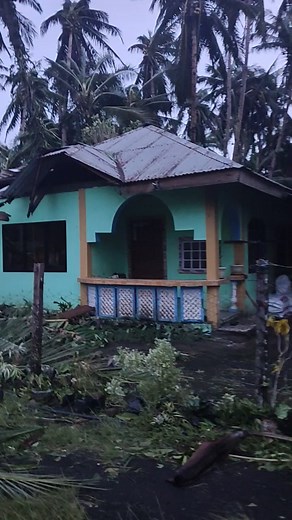 Leslie Baron - Purca on Reels