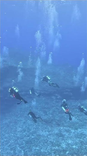 Colorful Coral Reef Underwater Scene with Scuba Diver