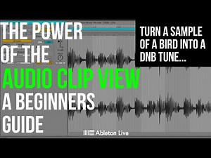Ableton Live 12 Beginner’s Guide Audio Clip View Explained