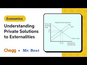 Understanding Private Solutions to Externalities Ft. Mr. Beat