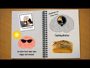 How the Brain Learns