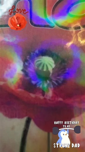 Poppy Birthday Card for an Unforgettable Celebration