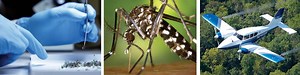 Integrated Mosquito Management & Control Programs | VDCI