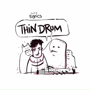 Tigrics - Thin Drum