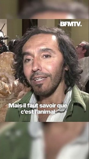 L'animal le plus lourd ayant vécu sur Terre serait...