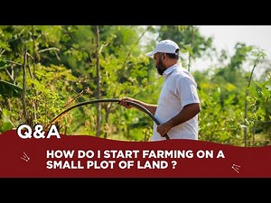 How do i start farming on a small plot of land ?.