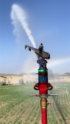 Irrigation solution for desert areas #sprinkler #irrigation #agriculture #foryou @modernirrigation