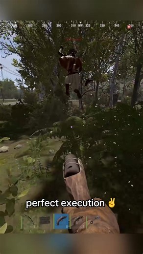 Amazing Rust Game Clip: Perfect Execution